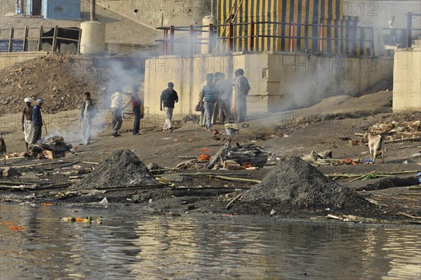 Riverbank with people and animals in a tense, polluted environment, Varanasi, Uttar Pradesh, India, Asia