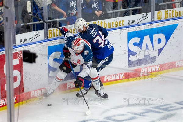 10.03.2024, DEL, German Ice Hockey League season 2023/24, 1st playoff round (pre-playoffs) : Adler Mannheim against Nuremberg Ice Tigers (2:1) . Intense duel on the boards between Tom Kuehnhackl (34, Adler Mannheim) and Danjo Leonhardt (53, Nuremberg Ice Tigers)