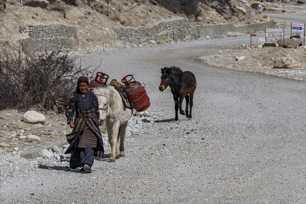 Tibetan women walking with her horse, Garphu, Kingdom of Mustang, Nepal, Asia