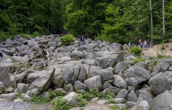 Sea of rocks on the Felsberg above Lautertal-Reichenbach in the Vorderer Odenwald, Hesse, Germany, Europe