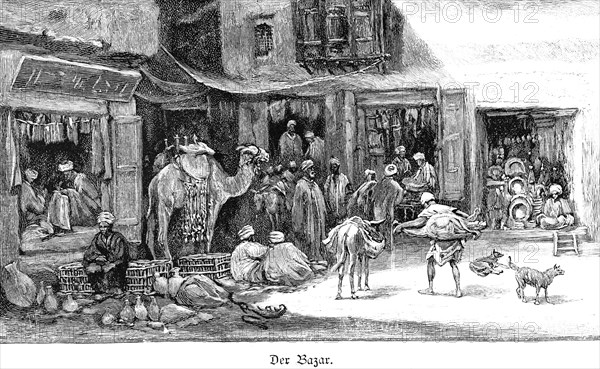 Bazaar in Cairo, Egypt, small shops, trade, many men, souk, camel, donkey, dog, Africa, historical illustration 1890, Africa