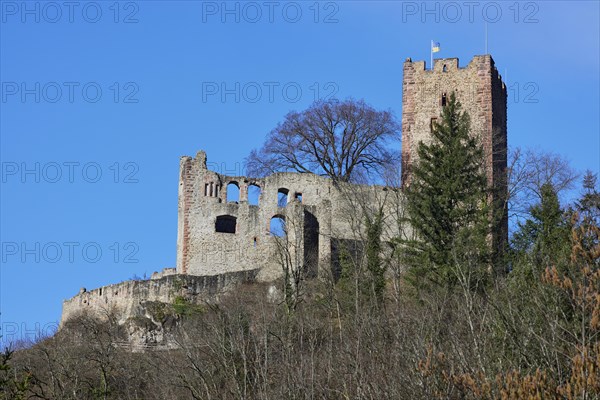 Kastelburg ruins with wintry trees in Waldkirch, Emmendingen district, Baden-Wuerttemberg, Germany, Europe