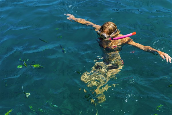 Snorkelling in the sea, snorkelling holiday, active holiday, tropical, exotic, woman, swimming, fish, Thailand, Asia