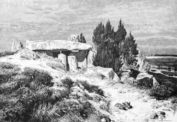 Barrow on the Lueneburg Heath, juniper, boulders, hill, Lower Saxony, Germany, historical illustration 1880, Europe