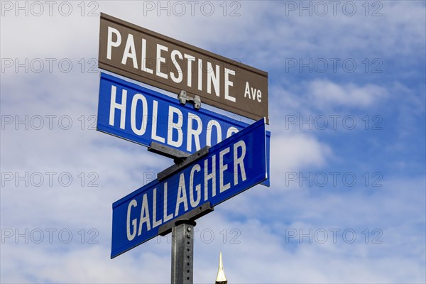 Hamtramck, Michigan USA, 7 March 2024, This majority Arab-American city symbolically renamed a major street 'Palestine Avenue.' The action is in solidarity with Palestinians in Gaza, where tens of thousands have died in Israel's bombing campaign