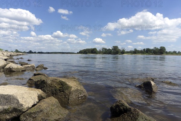 The Elbe near Wittenberge, 19/06/2017