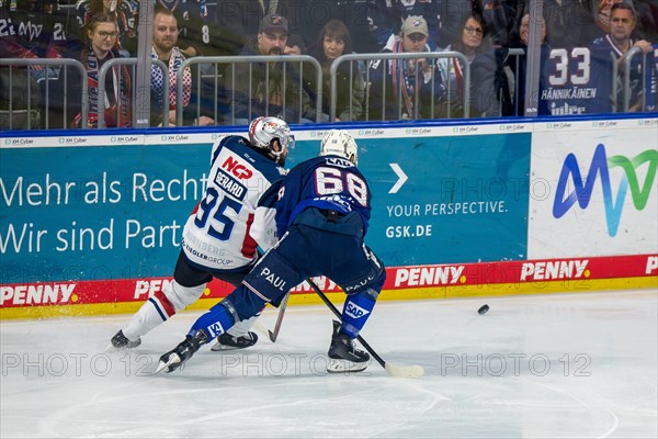 10.03.2024, DEL, German Ice Hockey League season 2023/24, 1st playoff round (pre-playoffs) : Adler Mannheim against Nuremberg Ice Tigers (2:1) . Charlie Gerard (95, Nuremberg Ice Tigers) and Fabrizio Pilu (68, Adler Mannheim) fighting for the puck