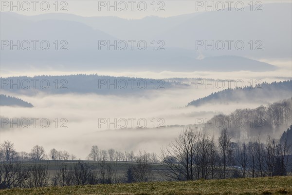 Fog in the valleys of the Black Forest near Biederbach, Emmendingen district, Baden-Wuerttemberg, Germany, Europe
