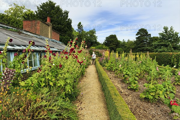 Down House Garden, garden at the home of the British naturalist Charles Darwin, Downe, Kent, England, Great Britain