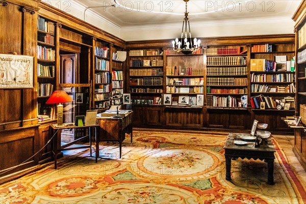 Library, Duino Castle, with spectacular sea view, private residence of the Princes of Thurn und Taxis, Duino, Friuli, Italy, Duino, Friuli, Italy, Europe