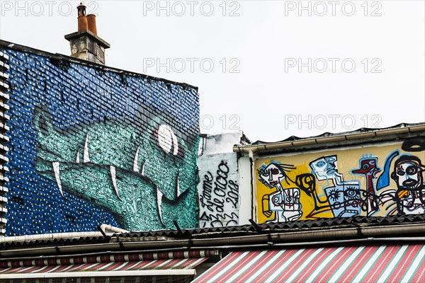 Painted house walls, graffiti, Porte de Clignancourt, Paris, France, Europe