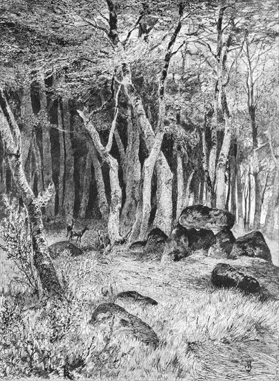 Hunebed on Ruegen, Baltic Sea island, erratic blocks, forest, deer, Mecklenburg-Western Pomerania, Germany, historical illustration 1880, Europe