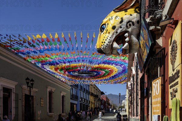 Oaxaca, Mexico, Shops along Calle Macedonio Alcala, a major street open to pedestrians only, Central America