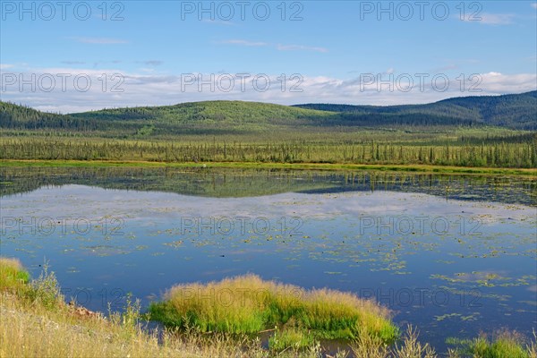 Tranquil lakes and forests, late summer, Alaska Highway, Alaska, USA, North America