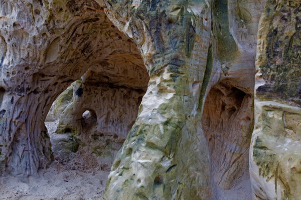 Carvings, moss and lichen in the Sandhoehlen, sandstone caves at Im Heers below the crags of Regenstein near Blankenburg, Harz, Saxony-Anhalt, Germany, Europe