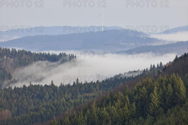 Landscape in the Black Forest with fog, some morning sun and wooded hills near Schuttertal, Ortenaukreis, Baden-Wuerttemberg, Germany, Europe
