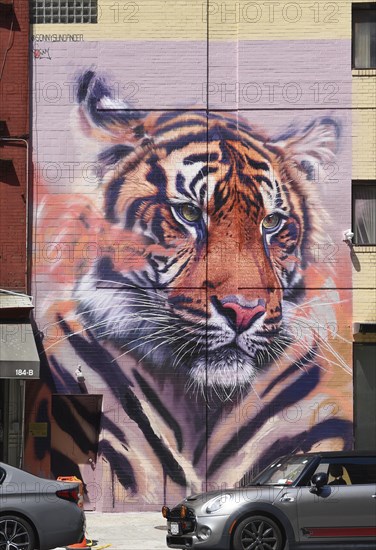 Hand-painted mural with tiger head, SoHo neighbourhood, Manhattan, New York City, New York, USA, North America