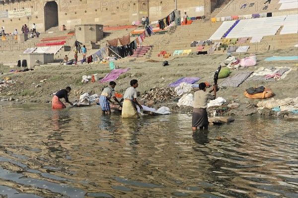 Group of people actively washing clothes in a river, Varanasi, Uttar Pradesh, India, Asia