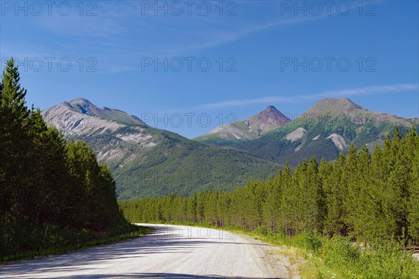 Narrow road without traffic, rugged mountains, wilderness, Stewart Casssiar Highway, British Columbia, Canada, North America
