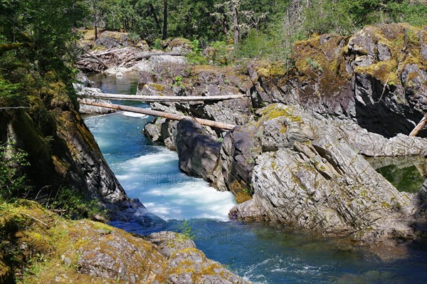 Crystal clear torrent between rocks, Pacific Rim National Park, Vancouver Island, British Columbia, Canada, North America