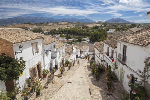 Traditional houses with a cobblestone paved street