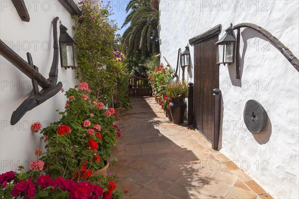 Casa Santa Maria in Betancuria, Fuerteventura, Canary Islands, Spain, Europe