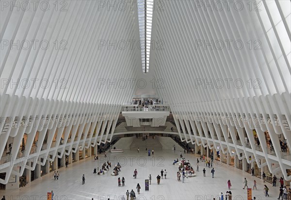 Westfield World Trade Center Mall, Oculus Building, Transportation Hub, Ground Zero, Lower Manhattan, New York City, New York, USA, North America