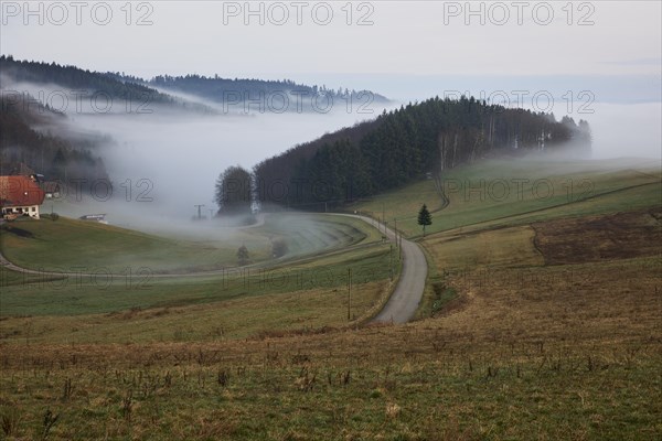 Landscape in the Black Forest with hills, meadow, road and forest in the morning with fog near Hofstetten, Ortenaukreis, Baden-Wuerttemberg, Germany, Europe