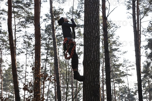An activist pulls himself up a rope to one of the tree houses in the Gruenheide forest. The activist group Stop Tesla has built tree houses in the forest to protest against the planned expansion of the Tesla plant, 04/03/2024