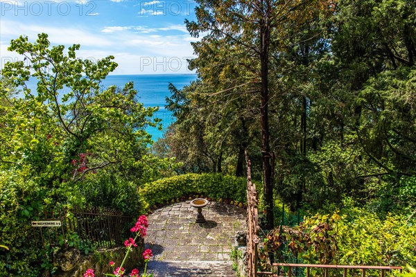 Castle garden, Duino Castle, with spectacular sea view, private residence of the Princes of Thurn und Taxis, Duino, Friuli, Italy, Duino, Friuli, Italy, Europe