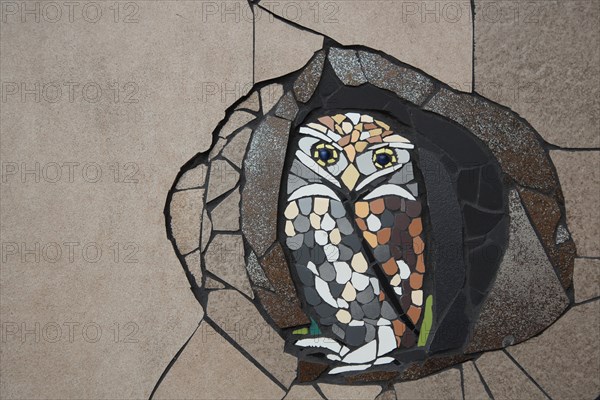 Wall mosaic with burrowing owl by Isidora Paz Lopez 2019, one, brown, bird figure, handicraft, tile, tiles, Lopez, rock staircase, bird staircase, Pirmasens, Palatinate Forest, Rhineland-Palatinate, Germany, Europe