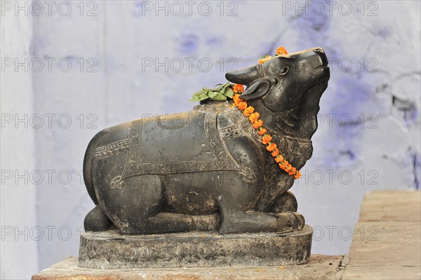 Stone statue of Nandi, the bull, adorned with a flower necklace, Varanasi, Uttar Pradesh, India, Asia