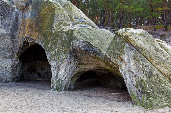 The Sandhoehlen, sandstone caves in forest called Im Heers below the crags of Regenstein near Blankenburg, Harz, Saxony-Anhalt, Germany, Europe