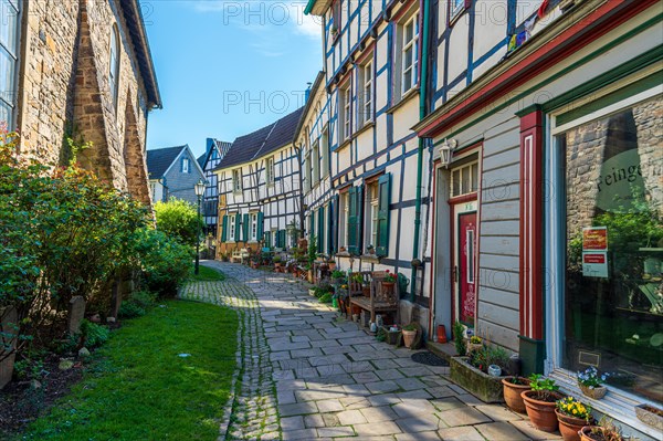 View of a cobbled alley with plant pots along the old half-timbered houses, Old Town, Hattingen, Ennepe-Ruhr district, Ruhr area, North Rhine-Westphalia
