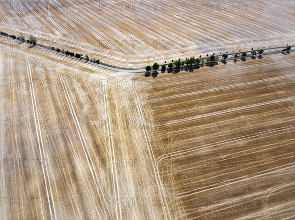 Tractor tracks in a field. Heat and drought have led to poor harvests, Thale, 28.07.2018