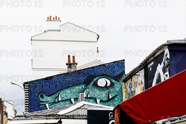 Painted house walls, graffiti, Porte de Clignancourt, Paris, France, Europe
