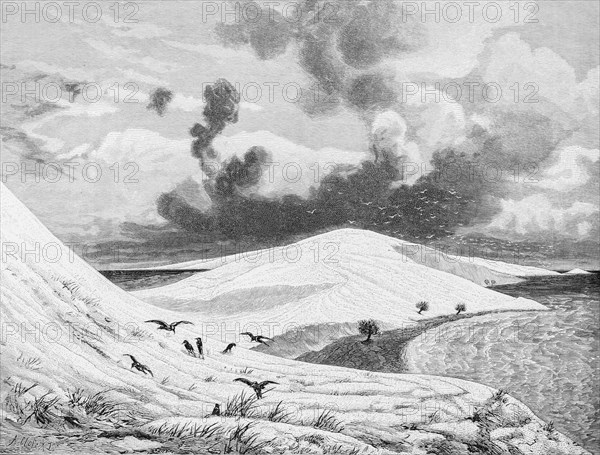Dune landscape, Curonian Spit or Curonian Lagoon, birds, cloudy sky, Russia, historical illustration 1880, Europe