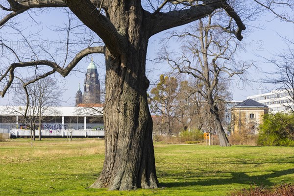 Blueherpark with view to Robotron canteen, gate pavilion Lingnerallee, town hall and Kreuzkirche, Dresden, Saxony, Germany, Europe