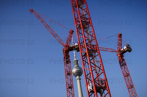 Symbolic photo on the topic 'Aeo Building in Berlin 'Aeo. Construction cranes stand on a building site on Alexanderplatz in front of the television tower. Berlin, 05.03.2024
