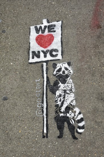 Graffiti on pavement, raccoon holding sign saying We love NYC, SoHo neighbourhood, Manhattan, New York City, New York, USA, North America