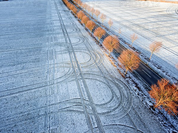 An aerial photo shows an avenue with trees leading through snow-covered fields on which tyre tracks of a tractor can be seen, 06.01.2017