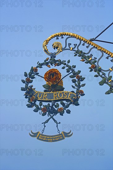 Nose sign of the restaurant Zur Rose, rose figure, inscription, golden, free-standing, main street, Ochsenfurt, Lower Franconia, Franconia, Bavaria, Germany, Europe