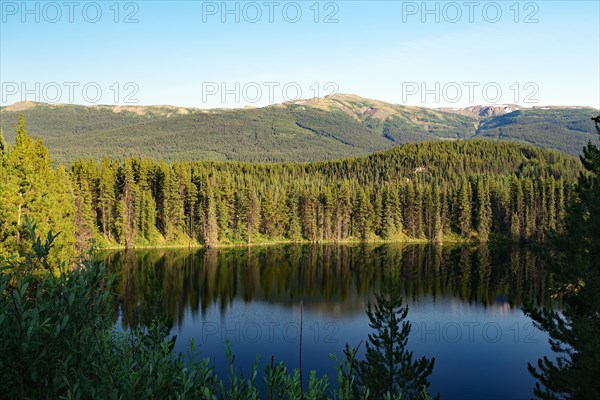 Evening mood at a quiet lake, forest, wilderness, Stewart Casssiar Highway, British Columbia, Canada, North America