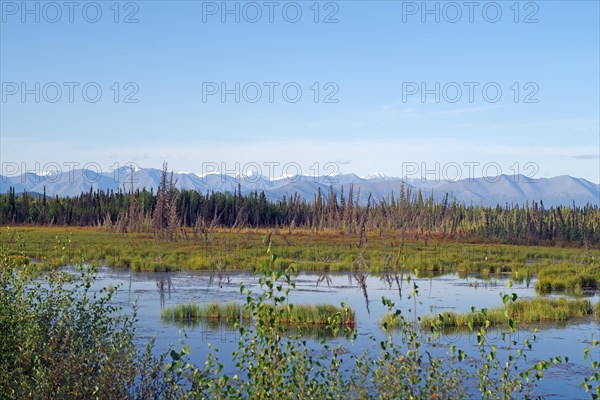 Tranquil lake and tundra landscape, mountains, wilderness, late summer, Alaska Highway, Tok, Alaska, USA, North America