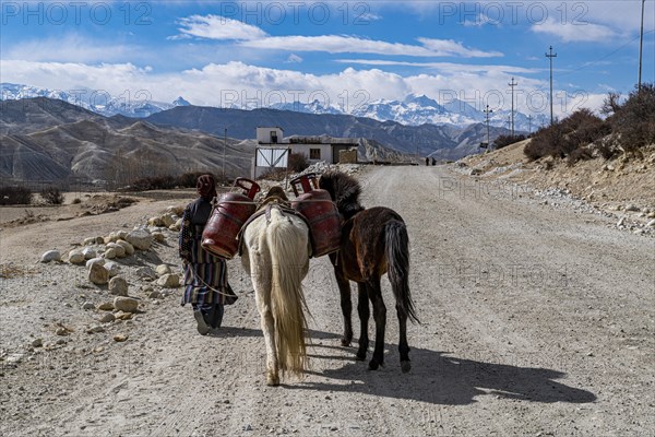 Tibetan women walking with her horse, Garphu, Kingdom of Mustang, Nepal, Asia