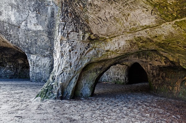 Carved rock in the Sandhoehlen, sandstone caves in forest called Im Heers below the crags of Regenstein near Blankenburg, Harz, Saxony-Anhalt, Germany, Europe