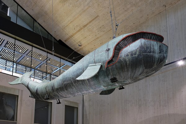 Whale Poldi, Vienna Museum, Laimgrube, Vienna, Austria, Europe