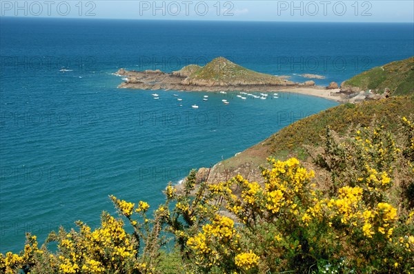 A scenic view of a blue sea with boats near the cliffs on a sunny day with yellow flowers in the foreground, Plouha