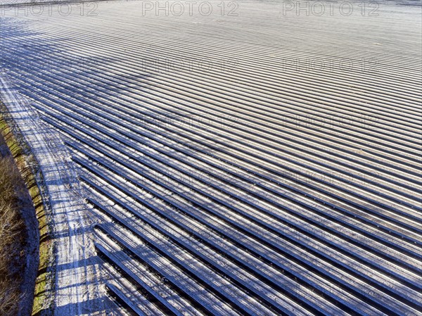 An aerial photo shows snow-covered sheets stretched over asparagus fields, 06/01/2017