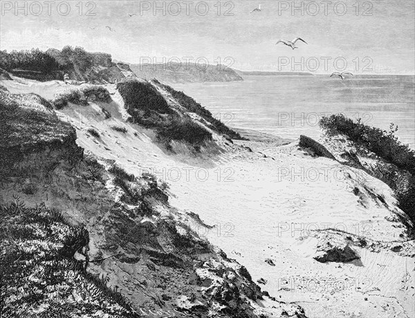 Dune landscape near Svetlogorsk or Rauschen, Baltic Sea, Kaliningrad Oblast, nature, coast, seagulls, loneliness, Russia, historical illustration 1880, Europe